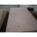 Okoume Face 18mm Plywood